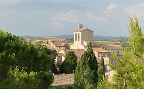 Comfortable Gite (2) in attractive Languedoc Village